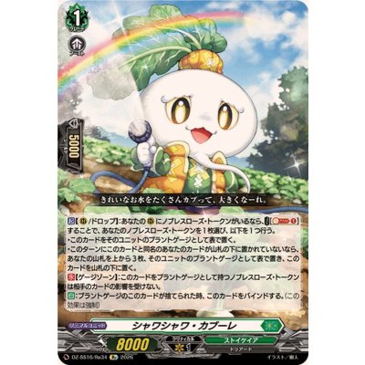 画像1: シャワシャワ・カブーレ【Re】{DZ-SS16/Re34}《ストイケイア》