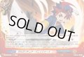 〔状態A-〕ガルガンチュア・パニッシャー!!【H】{DZ-TB01/H08}《バディファイト》