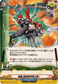 奥義護国闘神剣の舞！【H】{DZ-TB01/H62}《バディファイト》