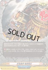 百鬼魔導輪廻竜生【H】{DZ-TB01/H70}《バディファイト》