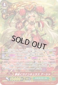 〔状態A-〕夢紡ぐラナンキュラスアーシャ【SP】{G-BT04/S08}《ネオネクタール》