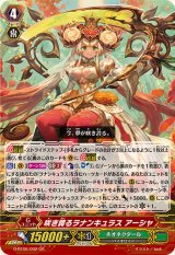 〔状態A-〕咲き誇るラナンキュラスアーシャ【GR】{G-BT06/002}《ネオネクタール》