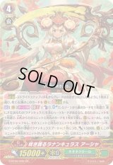 〔状態A-〕咲き誇るラナンキュラスアーシャ【GR】{G-BT06/002}《ネオネクタール》