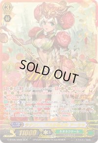 〔状態A-〕ラナンキュラスの花乙女アーシャ【SCR】{G-BT06/SR02}《ネオネクタール》