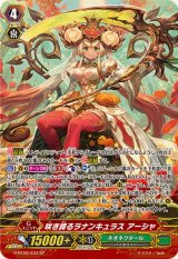 〔状態A-〕咲き誇るラナンキュラスアーシャ【SP】{G-BT08/S33}《ネオネクタール》