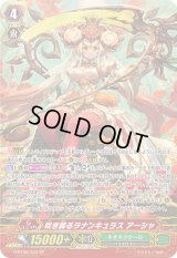 〔状態A-〕咲き誇るラナンキュラスアーシャ【SP】{G-BT08/S33}《ネオネクタール》