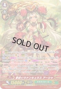 〔状態A-〕夢紡ぐラナンキュラスアーシャ【SP】{G-BT08/S34}《ネオネクタール》