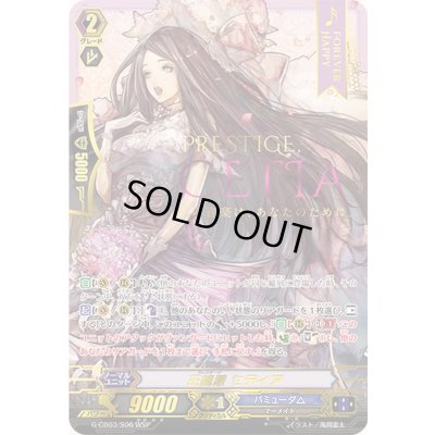 画像1: 〔状態A-〕正統派セティア【WSP】{G-CB03/S06WSP}《バミューダ△》