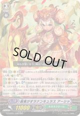 〔状態A-〕胸焦がすラナンキュラスアーシャ【RRR】{G-CHB01/008}《ネオネクタール》