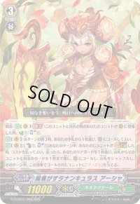 〔状態A-〕胸焦がすラナンキュラスアーシャ【RRR】{G-CHB01/008}《ネオネクタール》