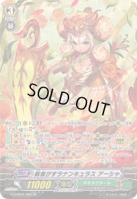 〔状態B〕胸焦がすラナンキュラスアーシャ【SP】{G-CHB01/S05}《ネオネクタール》