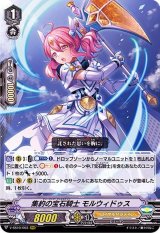 集約の宝石騎士モルウィドゥス【RRR】{V-SS10/003}《ロイヤルパラディン》