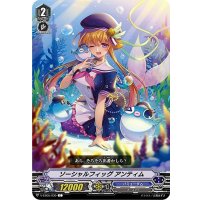 ソーシャルフィッグアンティム【C】{V-EB05/030}《バミューダ△》
