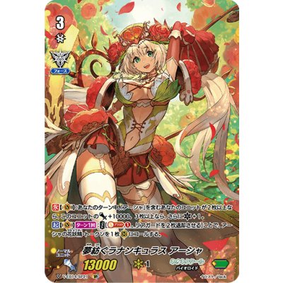 〔状態A-〕夢紡ぐラナンキュラスアーシャ【SP】{V-EB14/SP21}《ネオネクタール》