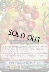 〔状態B〕「RRR仕様」ラナンキュラスの花乙女アーシャ【-】{V-TD12/001}《ネオネクタール》