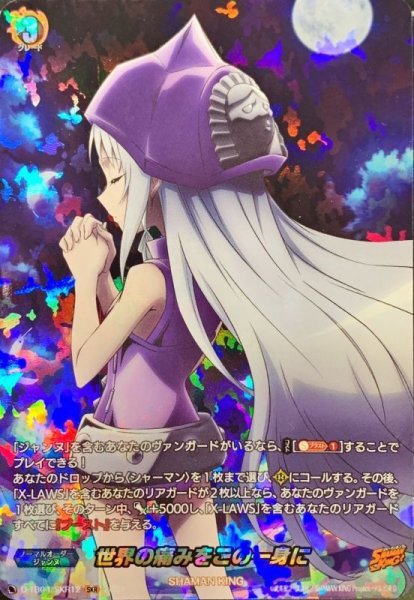 画像1: 〔状態B〕世界の痛みをこの一身に【SKR】{D-TB04/SKR12}《SHAMANKING》 (1)