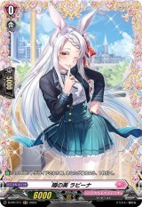 『デッキ まとめ売り』 リリカルモナステリオ ロロネロル軸 夢を召しませトルティーリ【SR】{DZ-LBT01/SR39}《リリカル