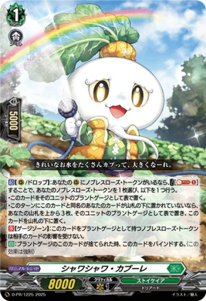 画像1: シャワシャワ・カブーレ【PR】{D-PR/1225}《ストイケイア》 (1)
