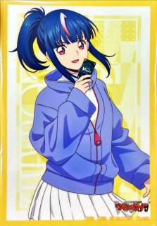 Master Deckset 明導ヒカリ & 明星エリカ - カードラッシュヴァンガード