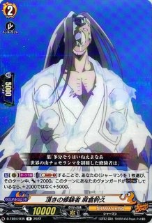 チームTHE蓮【SKR】{D-TB04/SKR42}《SHAMANKING》