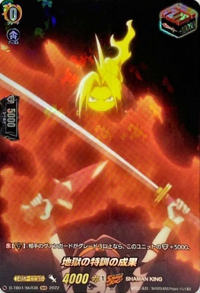 画像1: 〔状態A-〕地獄の特訓の成果【SKR】{D-TB04/SKR38}《SHAMANKING》 (1)