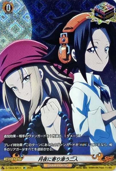 画像1: 月夜に寄り添う二人【SP】{D-TB03/SP11}《SHAMANKING》 (1)