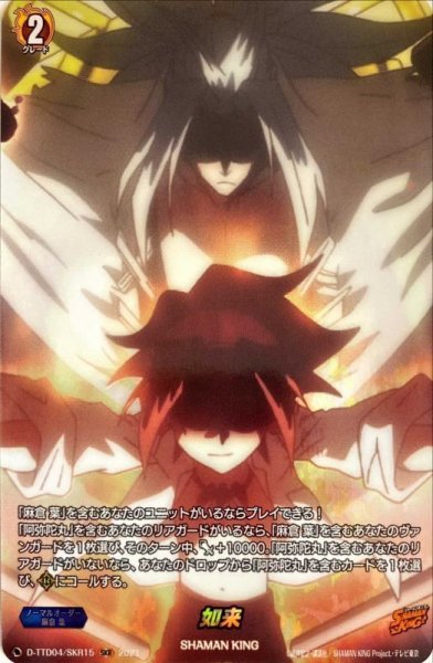 画像1: 如来【SKR】{D-TTD04/SKR15}《SHAMANKING》 (1)