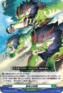 状態A-〕スリーブ『ティルナノーグユース(エクストラVol.112