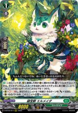 ストイケイア - カードラッシュヴァンガード