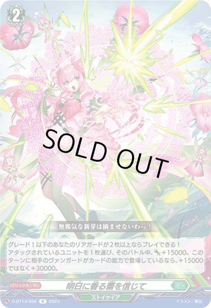 画像1: 明日に香る蕾を信じて【R】{D-BT13/056}《ストイケイア》 (1)