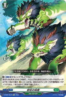 蒼嵐覇竜グローリー・メイルストローム【C】{D-PV01/238}《アクア