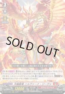 ☢ ニルヴァーナ ジーヴァ パーツセット