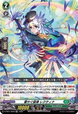 全てホイル仕様　ストイケイア　汎用セット 全てホイル仕様 ストイケイア 汎用セット 全てホイル仕様 ストイケイア