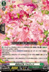 ストイケイア 汎用 パーツ まとめ売り .  54 ストイケイア - カードラッシュヴァンガード