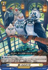 ケテルサンクチュアリ - カードラッシュヴァンガード ケテルサンクチュアリ - カードラッシュヴァンガード