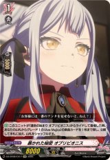 ヴァンガード通販 カードラッシュ (Page 8)