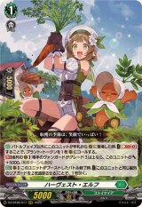 ストイケイア - カードラッシュヴァンガード