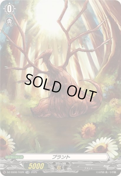 画像1: 〔状態A-〕「RRR仕様」プラント【TDR】{DZ-SS08/T02R}《その他》 (1)