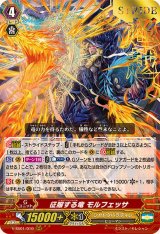 シャドウパラディン - カードラッシュヴァンガード