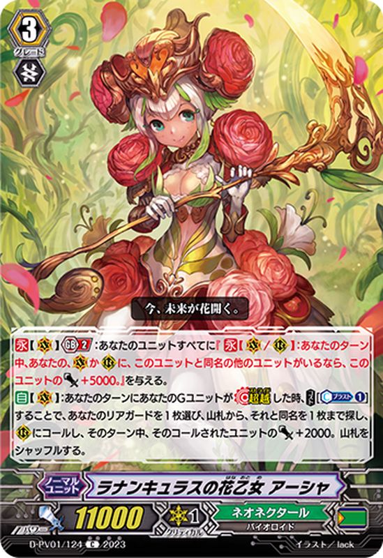 ラナンキュラスの花乙女アーシャ SCR,SP